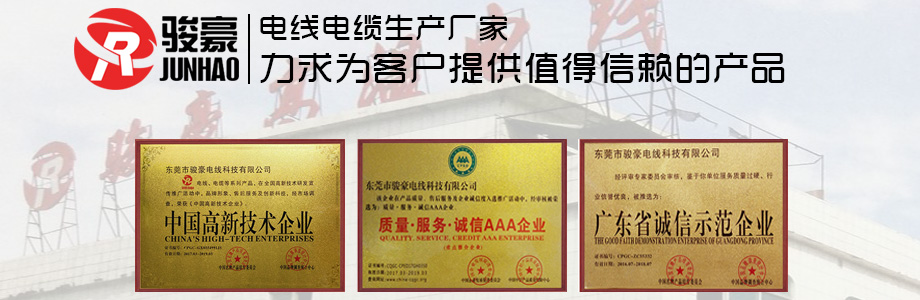 EVO视讯声誉证书展示